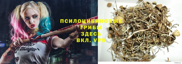 кокс Бородино