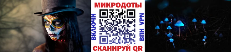 нарко площадка Telegram Гаврилов Посад Псилоцибиновые грибы Psilocybe наркотики OMG
